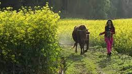 攝影作品的時代轉型與問題意識